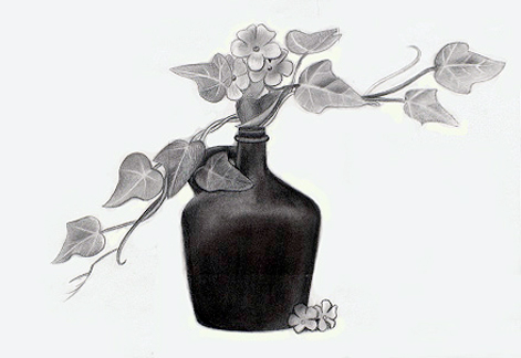 Drawing-Ivy in a Vase