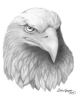 Drawing-Eagle Head