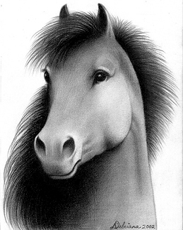 Drawing-Horse Head