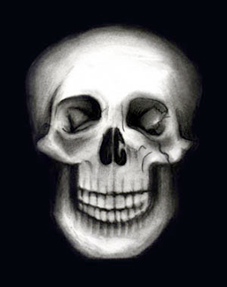 Drawing-Human Skull